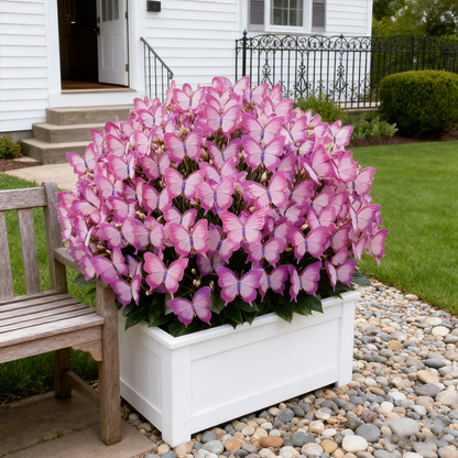 ✨Easy-to-Grow Seeds — Butterfly Blooms for a Living Garden-XA