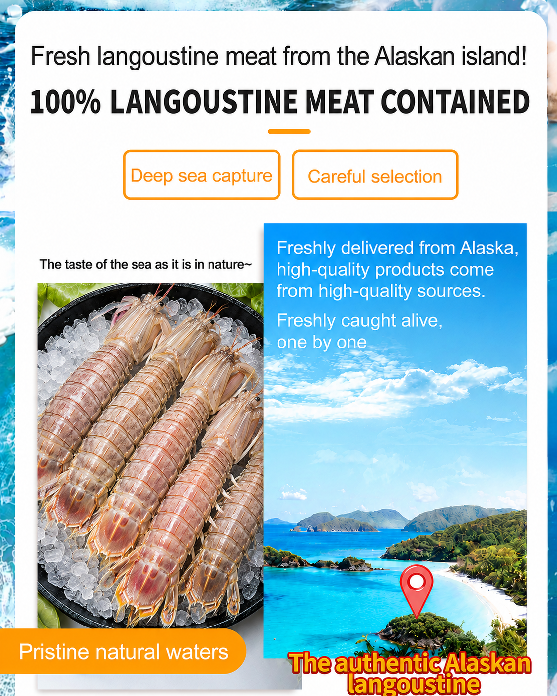 🦐Alaskan Mantis Shrimp - 🏆💎Ready to Eat High-Protein Seafood Snack-QZE